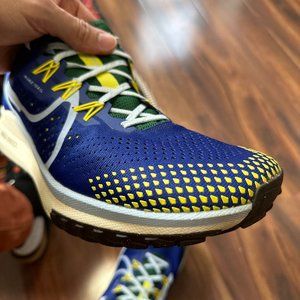 Nike Pegasus Trail 4 Men's Trail Running Shoes